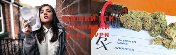 гидра Костерёво